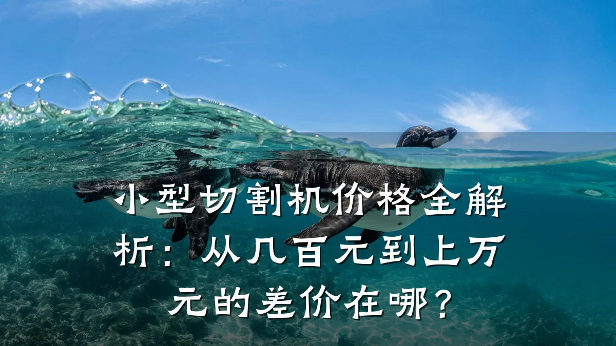 小型切割机价格全解析：从几百元到上万元的差价在哪？