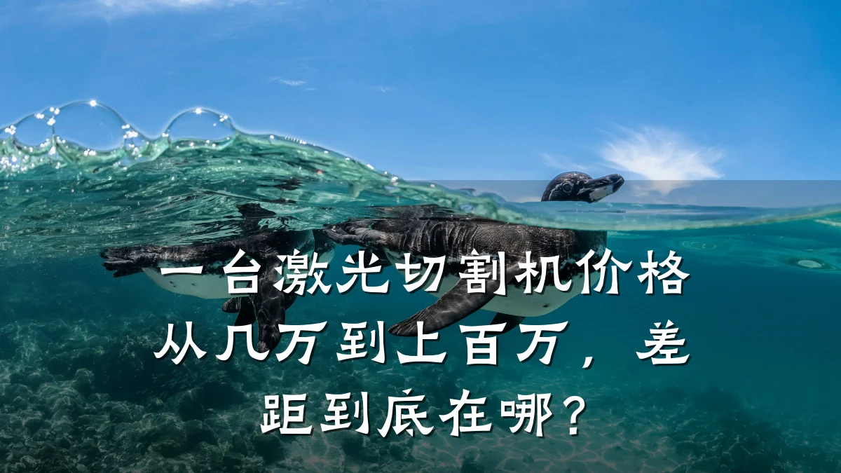 一台激光切割机价格从几万到上百万，差距到底在哪？