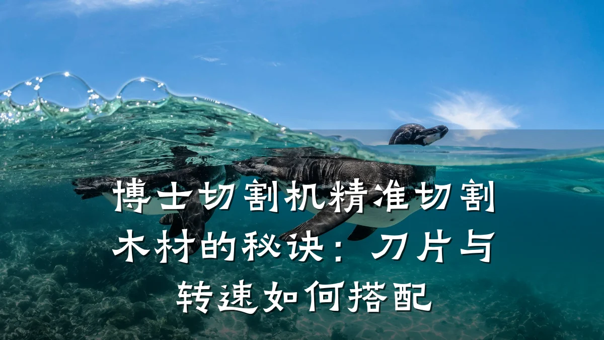 博士切割机精准切割木材的秘诀:刀片与转速如何搭配