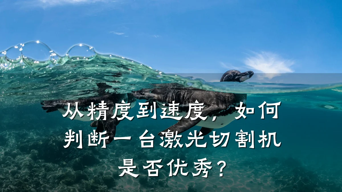 从精度到速度,如何判断一台激光切割机是否优秀?