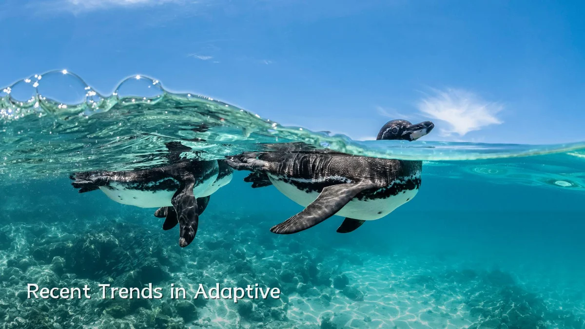 Recent Trends in Adaptive