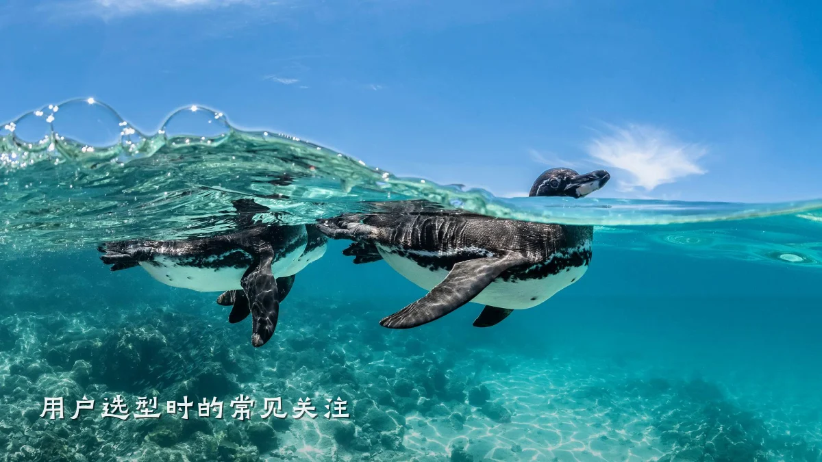 用户选型时的常见关注