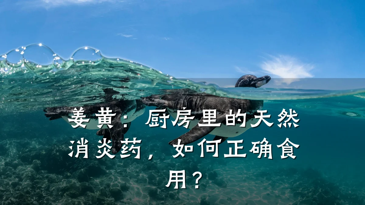 姜黄:厨房里的天然消炎药,如何正确食用?