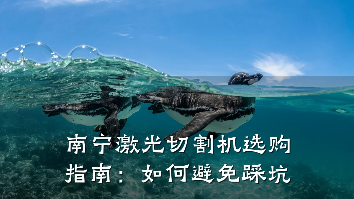 南宁激光切割机选购指南:如何避免踩坑