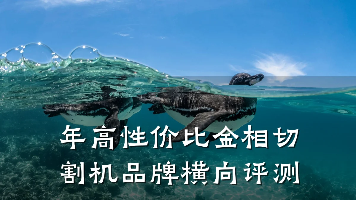 年高性价比金相切割机品牌横向评测