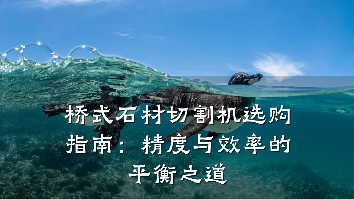 桥式石材切割机选购指南:精度与效率的平衡之道