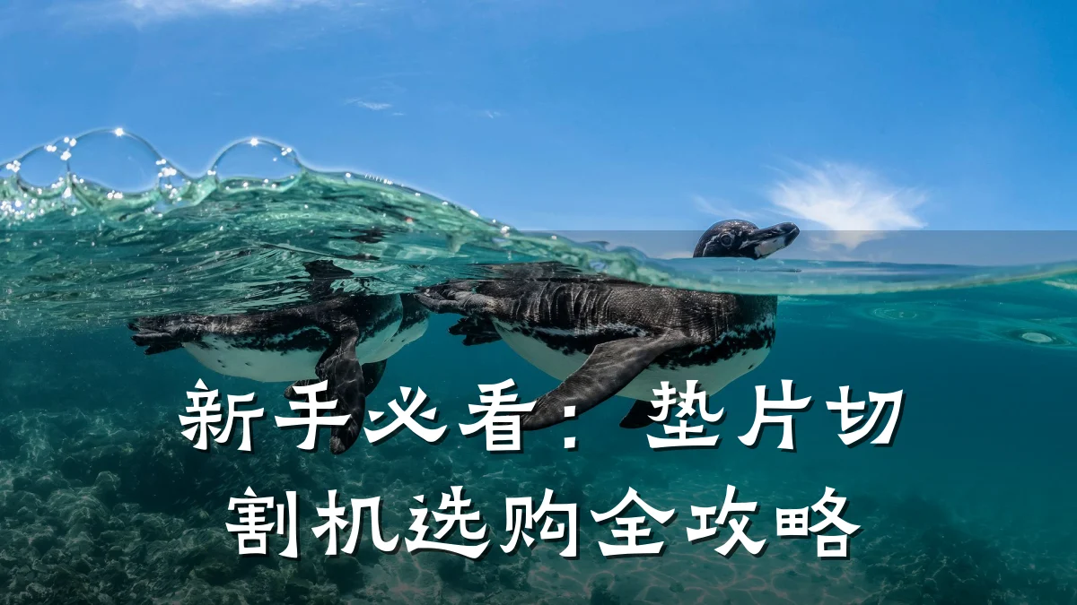 新手必看：垫片切割机选购全攻略