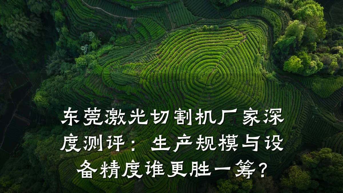 东莞激光切割机厂家深度测评:生产规模与设备精度谁更胜一筹?