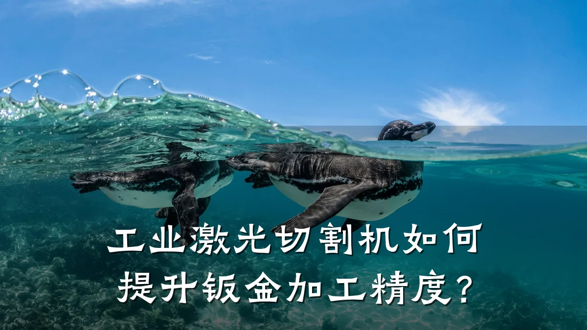 工业激光切割机如何提升钣金加工精度？