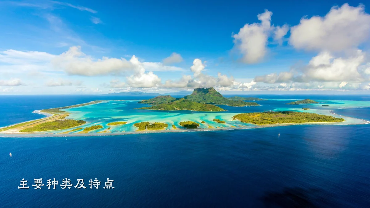 主要种类及特点