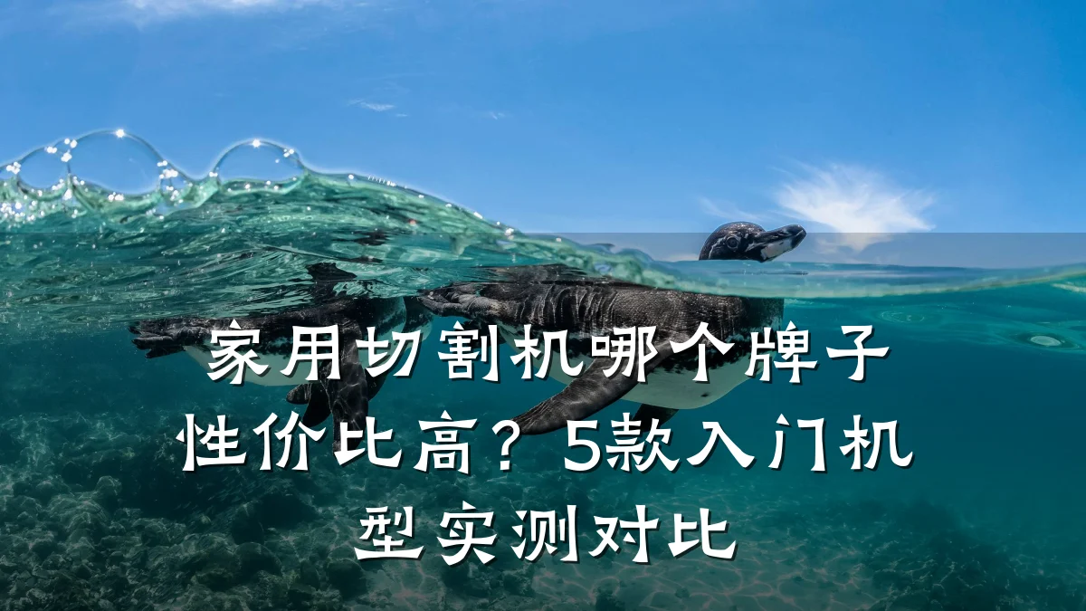 家用切割机哪个牌子性价比高?5款入门机型实测对比