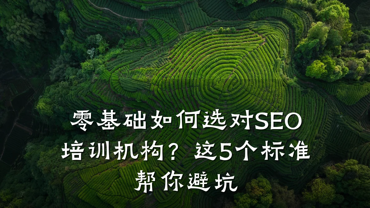 零基础如何选对SEO培训机构?这5个标准帮你避坑