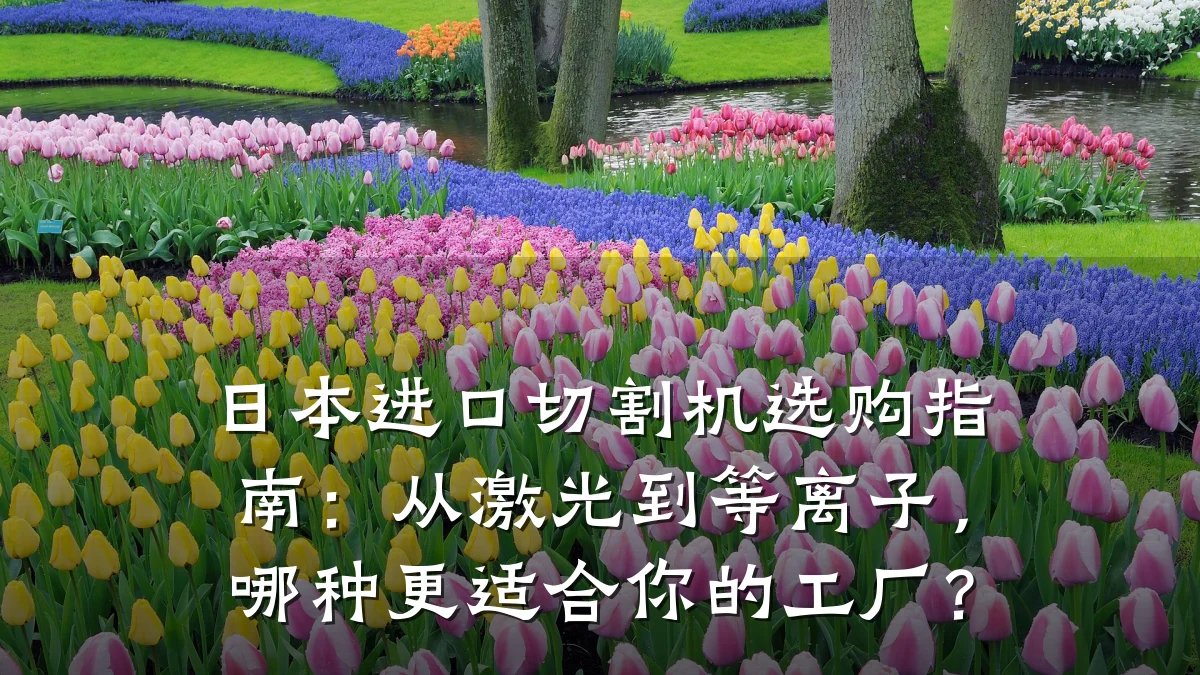 日本进口切割机选购指南:从激光到等离子,哪种更适合你的工厂?