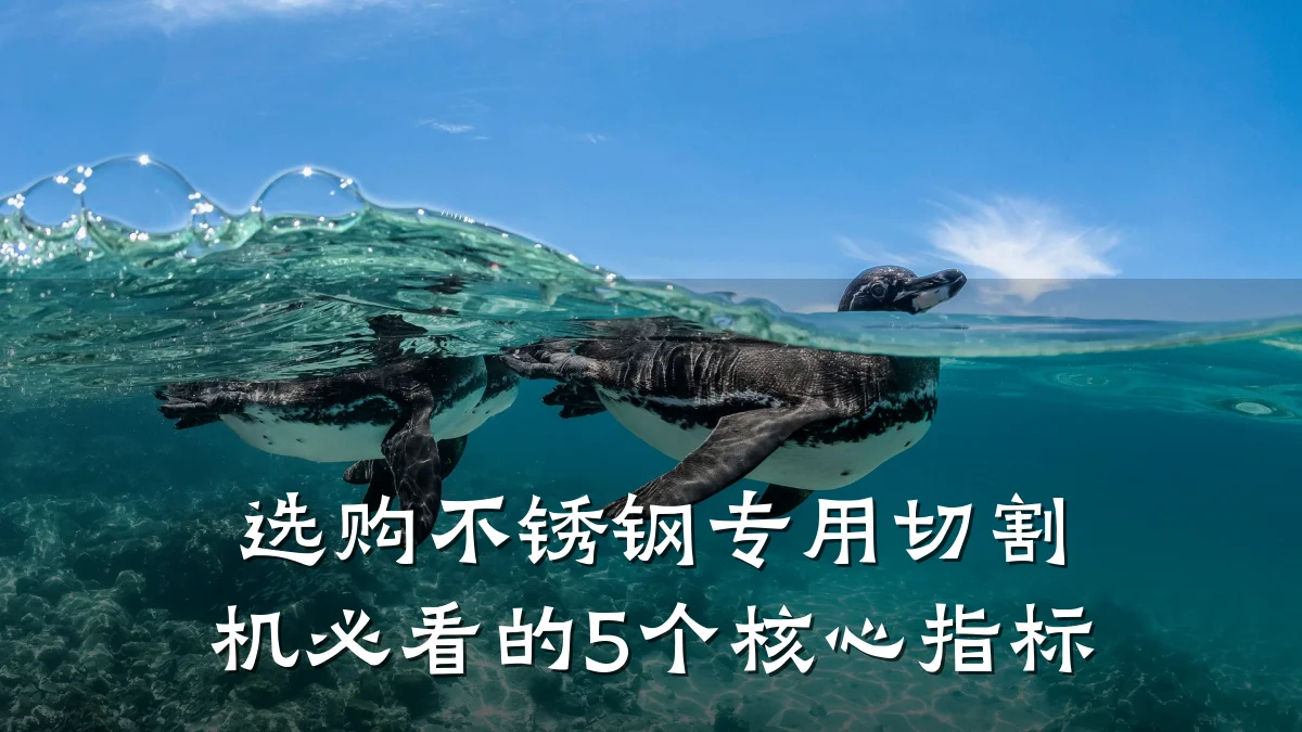 选购不锈钢专用切割机必看的5个核心指标