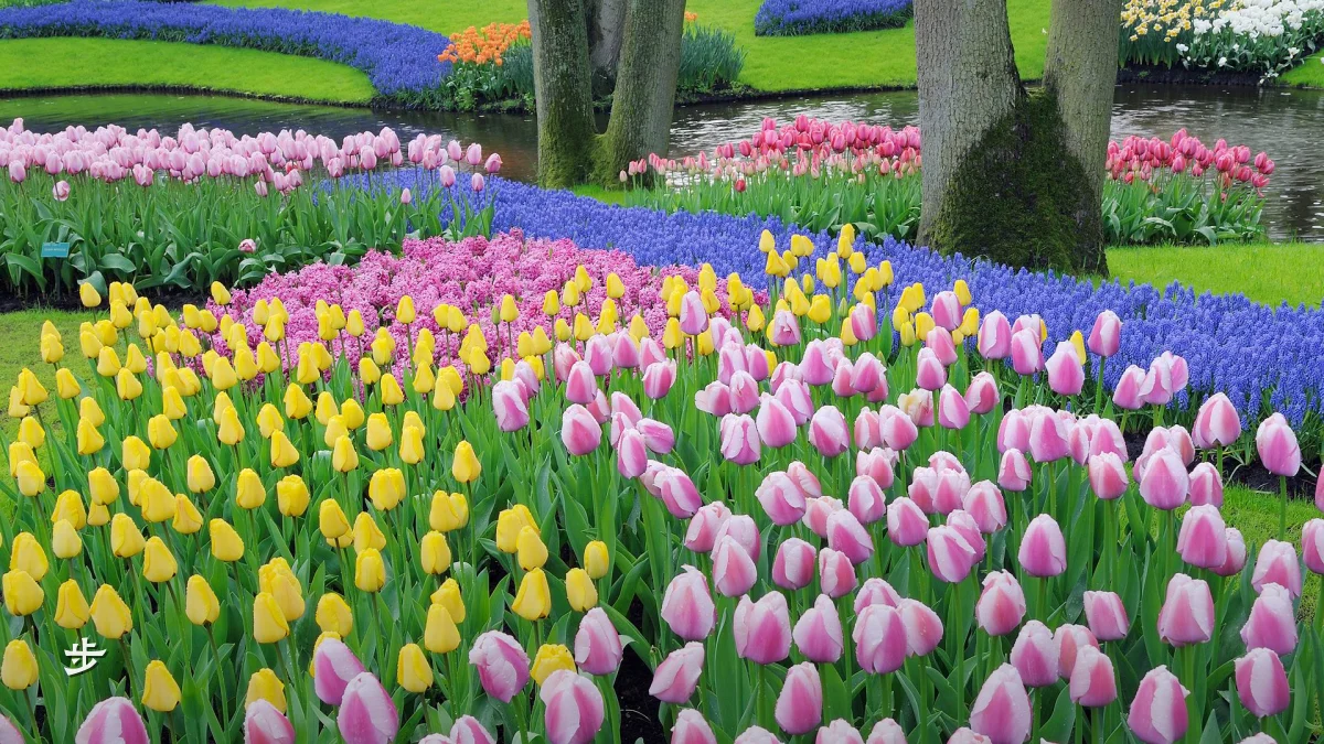 步