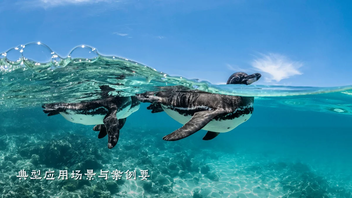 典型应用场景与案例要