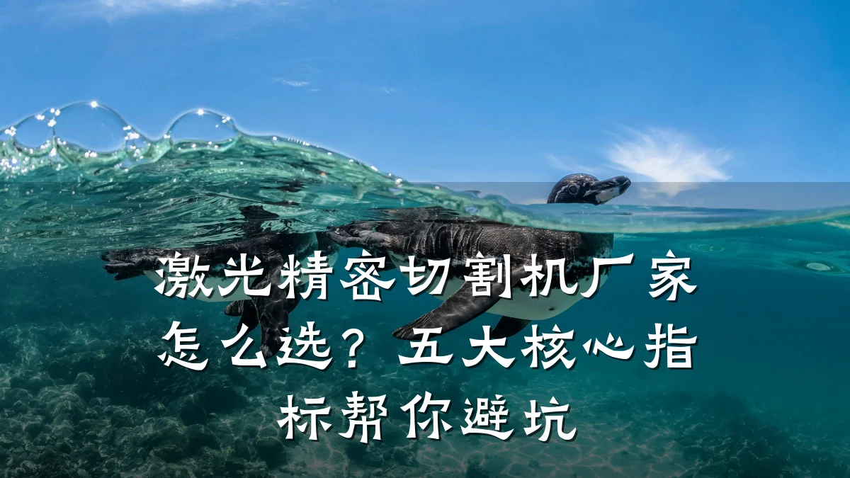 激光精密切割机厂家怎么选?五大核心指标帮你避坑