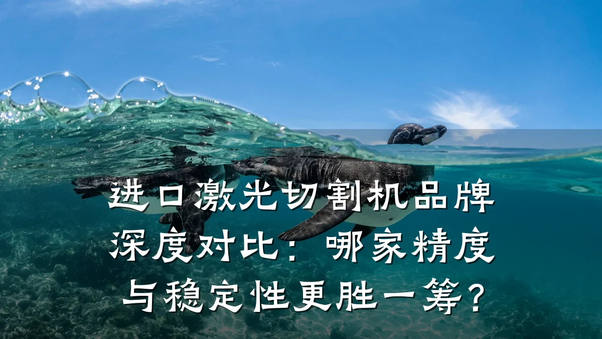 进口激光切割机品牌深度对比:哪家精度与稳定性更胜一筹?