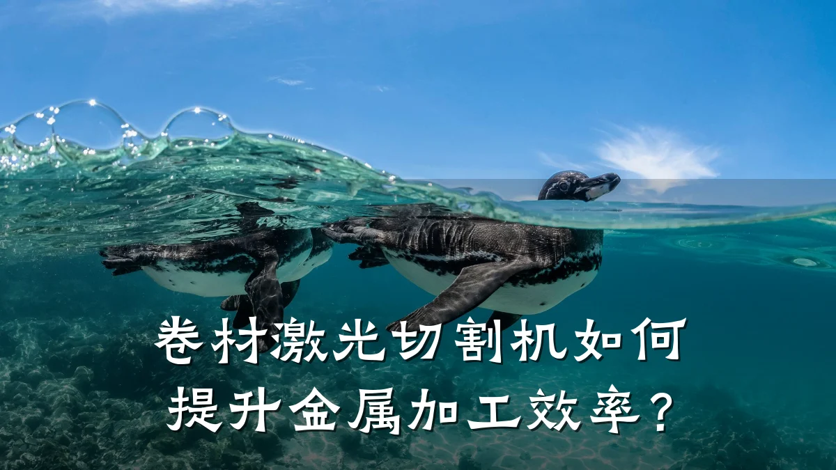 卷材激光切割机如何提升金属加工效率?