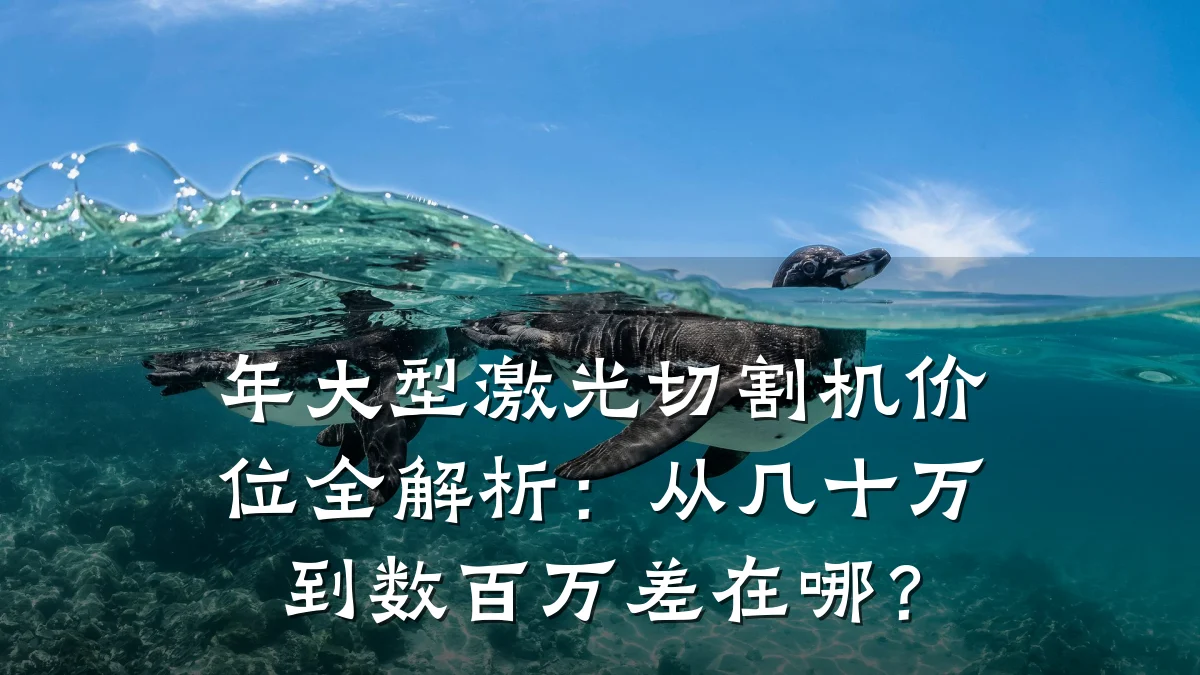 年大型激光切割机价位全解析:从几十万到数百万差在哪?