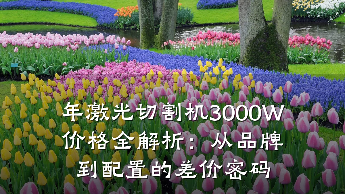 年激光切割机3000W价格全解析:从品牌到配置的差价密码