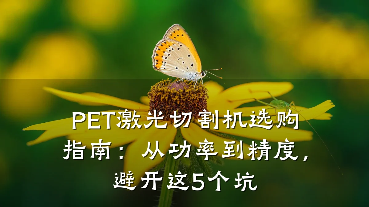 PET激光切割机选购指南:从功率到精度,避开这5个坑