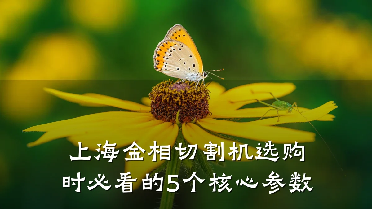 上海金相切割机选购时必看的5个核心参数