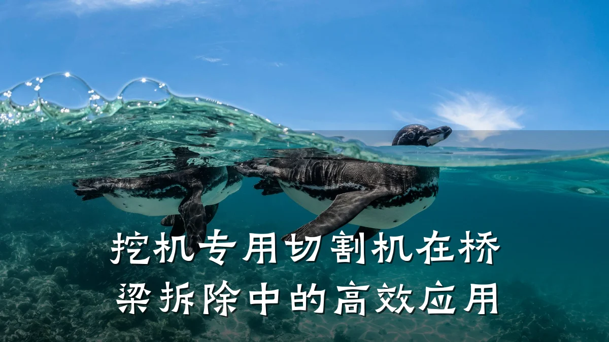 挖机专用切割机在桥梁拆除中的高效应用