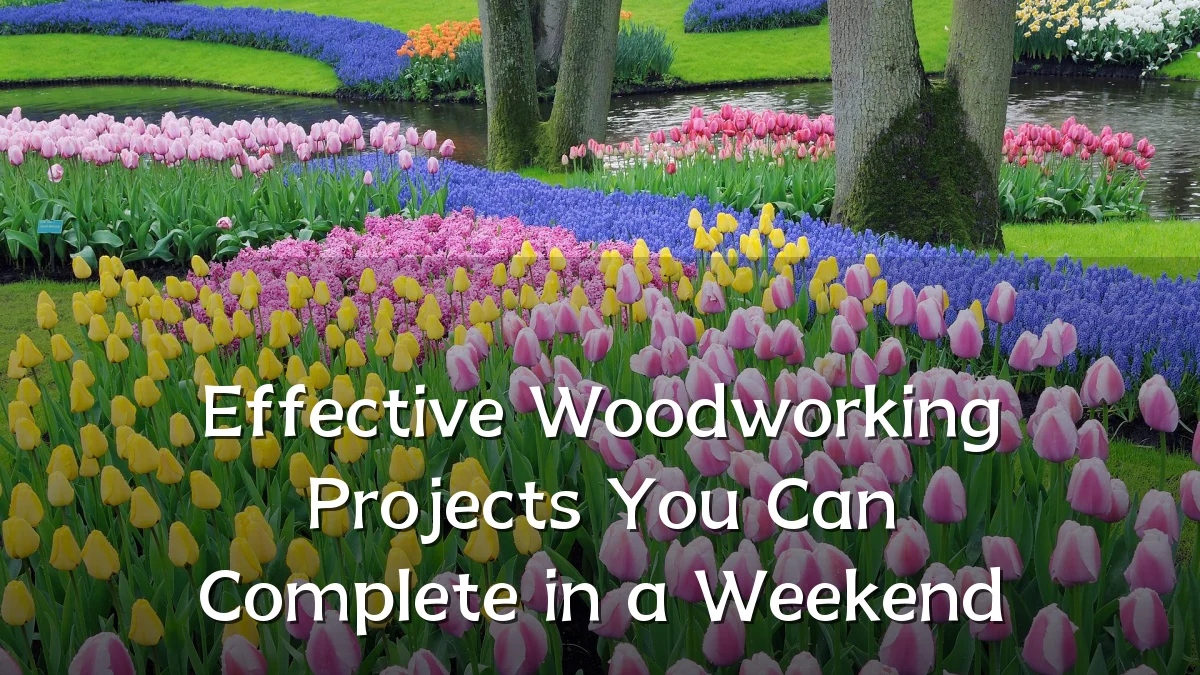 Effective Woodworking Projects You Can Complete in a Weekend