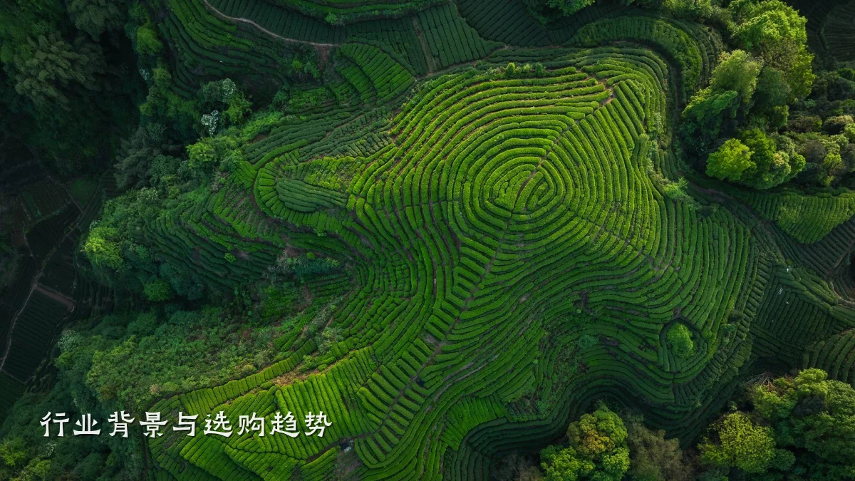 行业背景与选购趋势