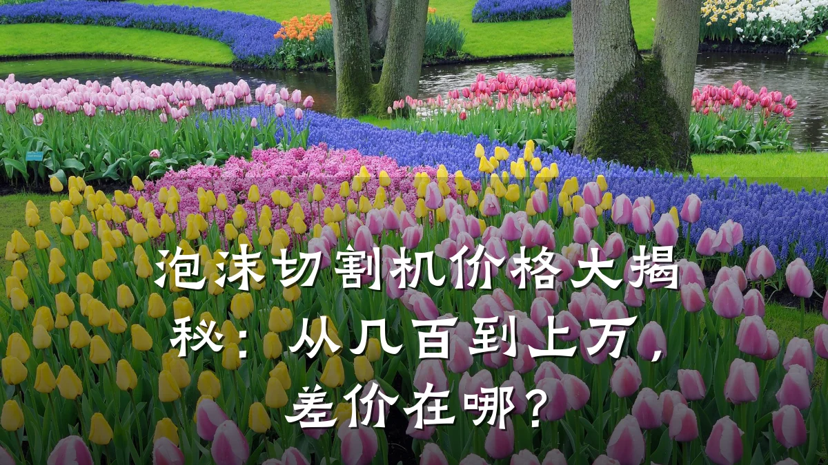 泡沫切割机价格大揭秘:从几百到上万,差价在哪?