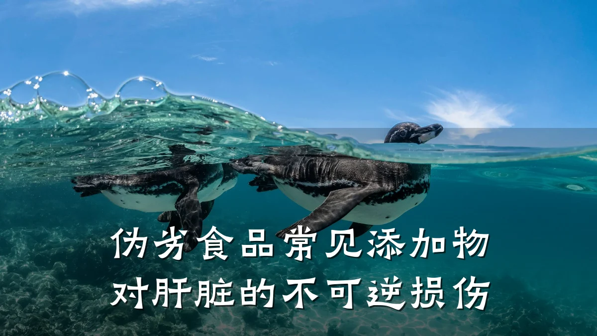 伪劣食品常见添加物对肝脏的不可逆损伤