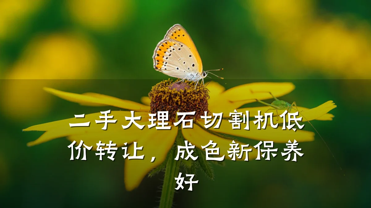 二手大理石切割机低价转让,成色新保养好