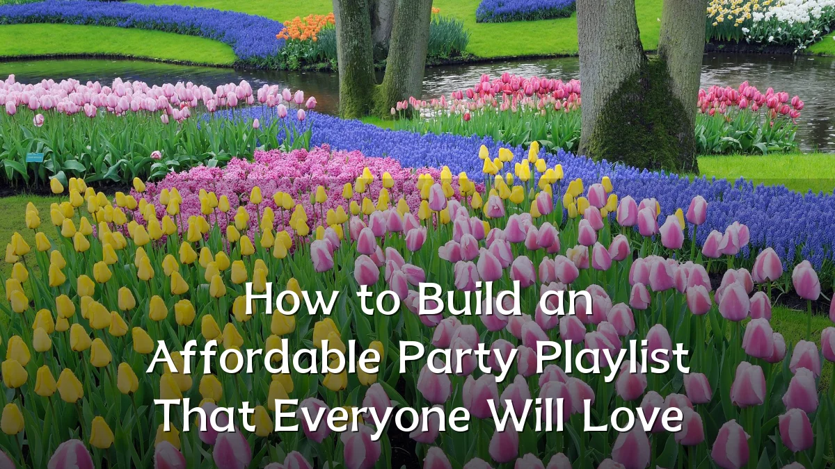 How to Build an Affordable Party Playlist That Everyone Will Love