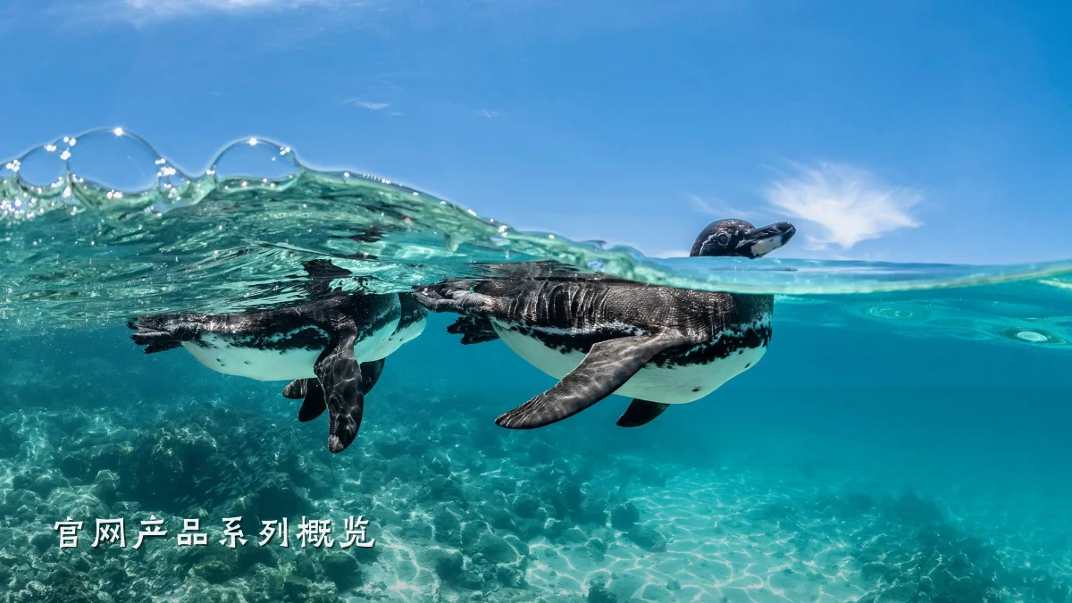 官网产品系列概览
