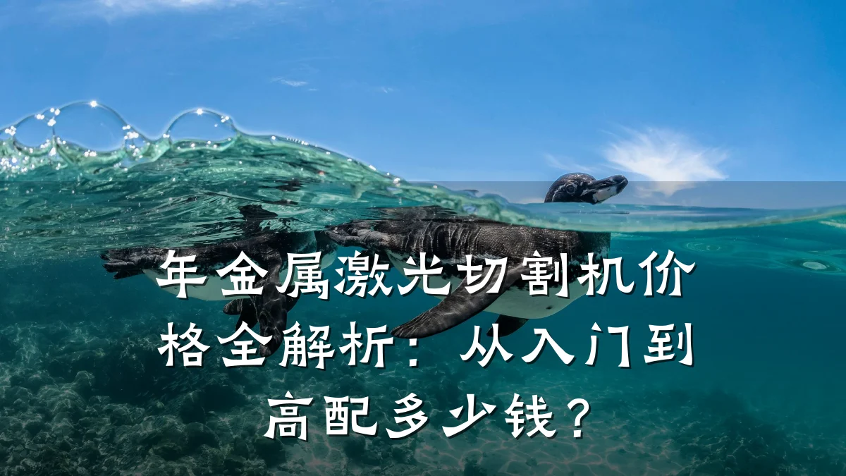 年金属激光切割机价格全解析:从入门到高配多少钱?