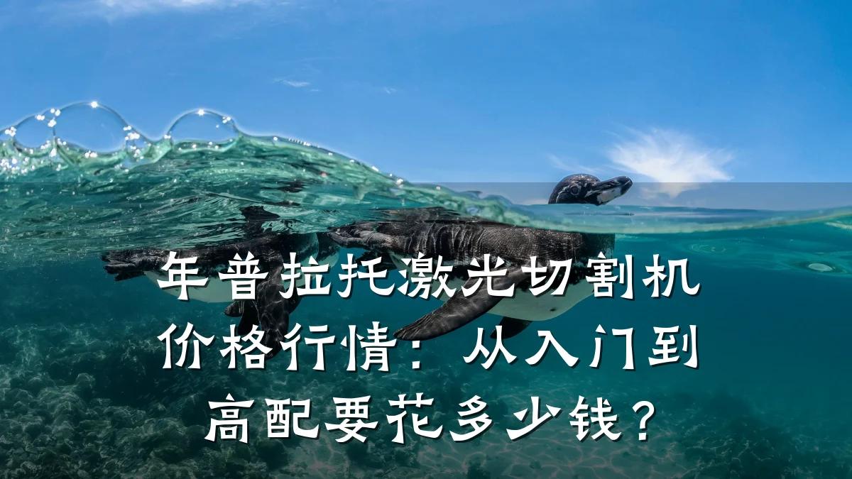 年普拉托激光切割机价格行情:从入门到高配要花多少钱?