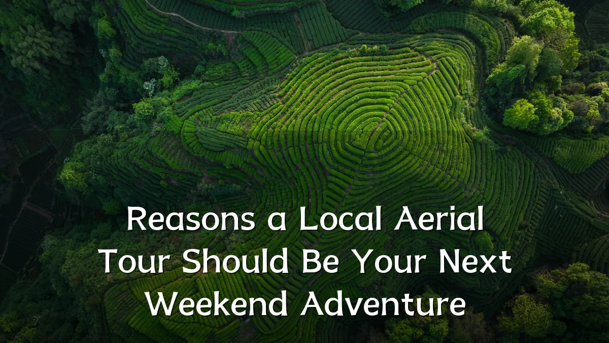 Reasons a Local Aerial Tour Should Be Your Next Weekend Adventure