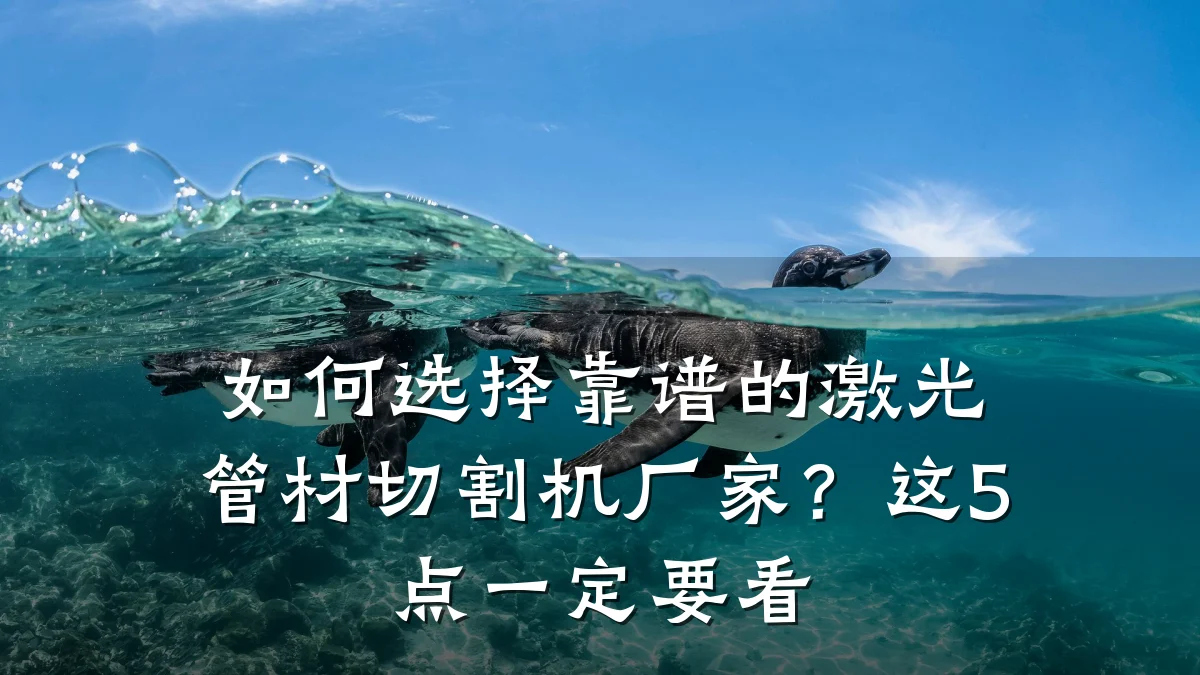 如何选择靠谱的激光管材切割机厂家?这5点一定要看