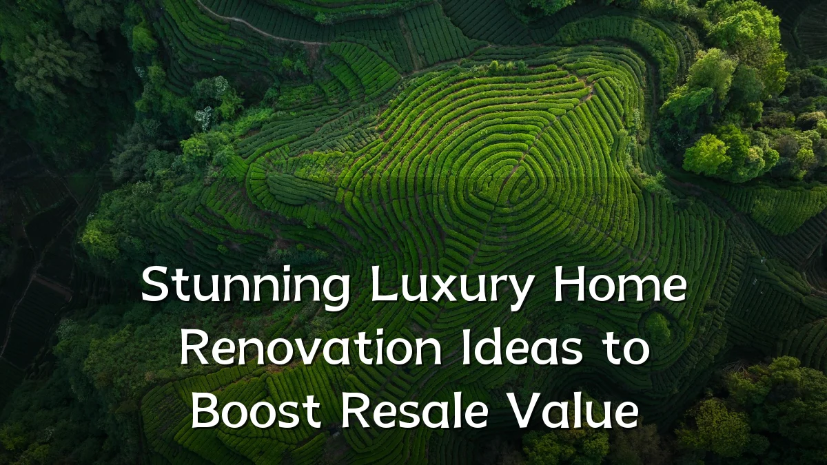 Stunning Luxury Home Renovation Ideas to Boost Resale Value