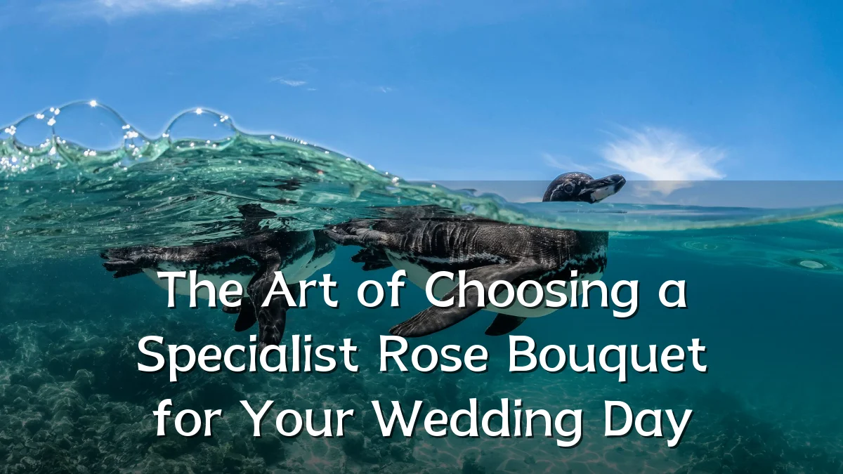 The Art of Choosing a Specialist Rose Bouquet for Your Wedding Day