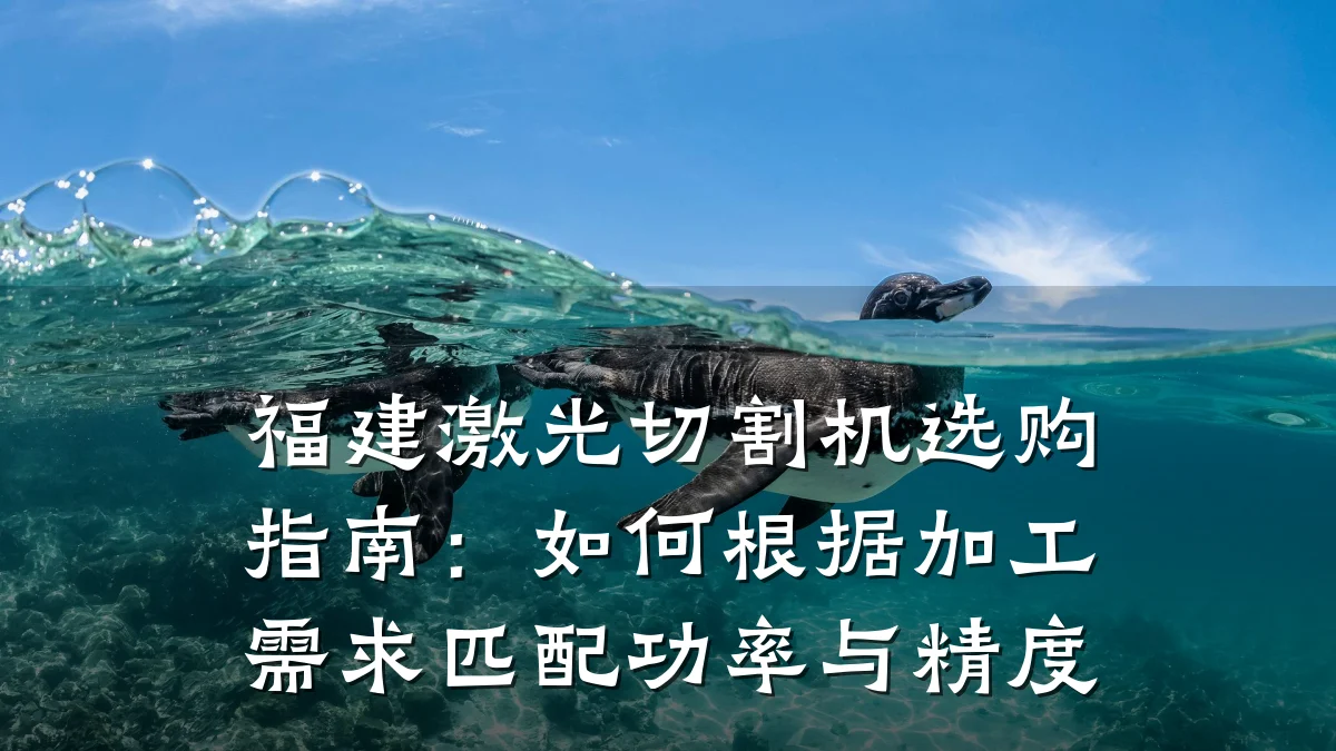 福建激光切割机选购指南：如何根据加工需求匹配功率与精度