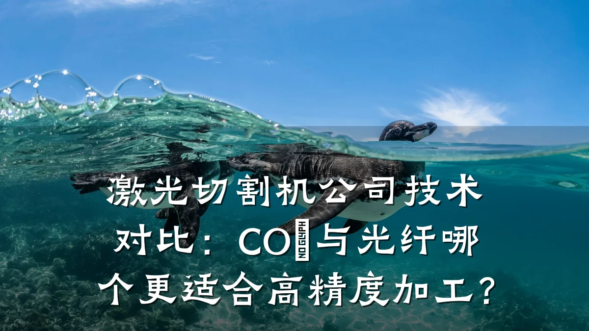激光切割机公司技术对比：CO₂与光纤哪个更适合高精度加工？