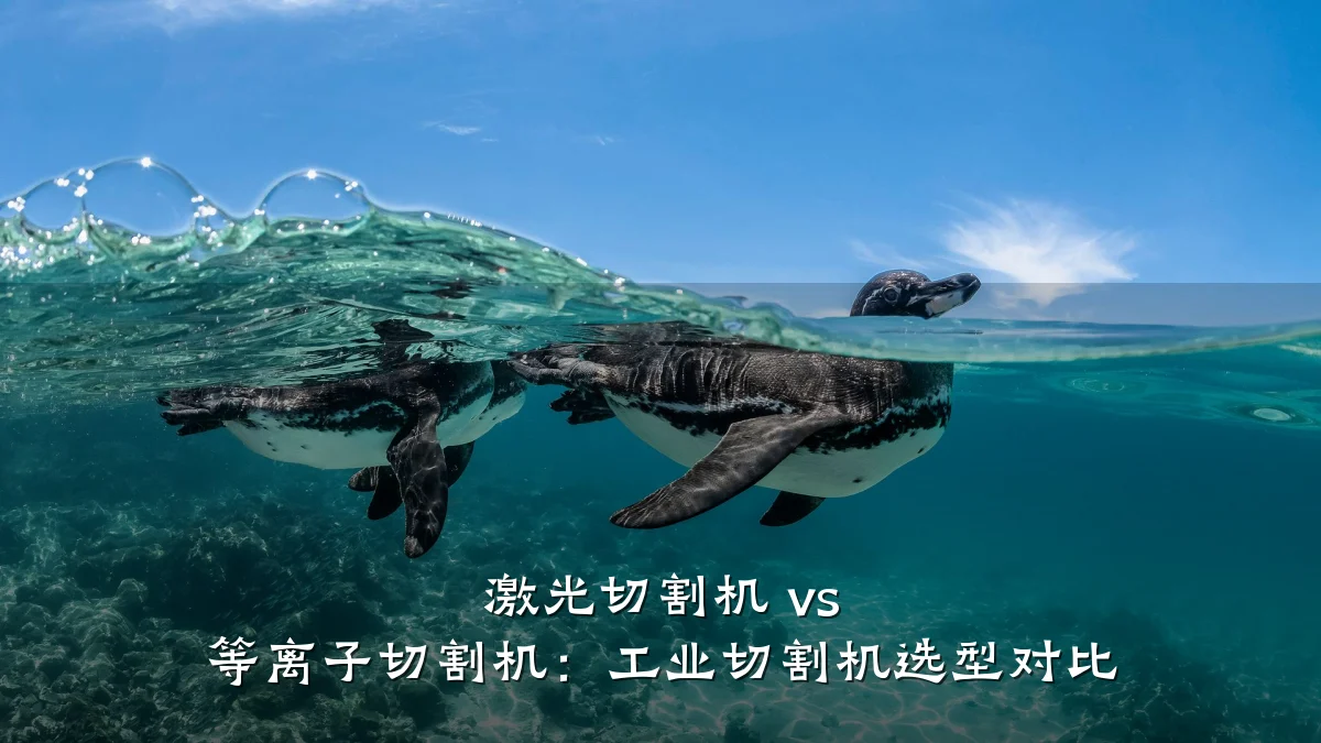 激光切割机 vs 等离子切割机：工业切割机选型对比
