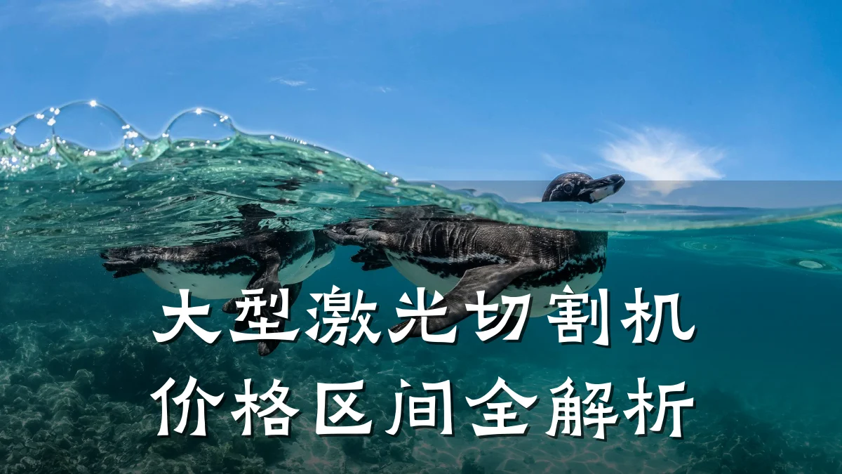 大型激光切割机价格区间全解析