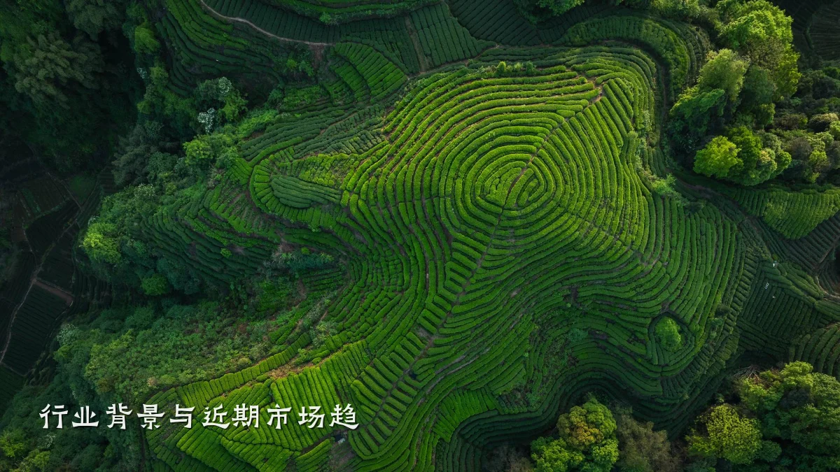 行业背景与近期市场趋