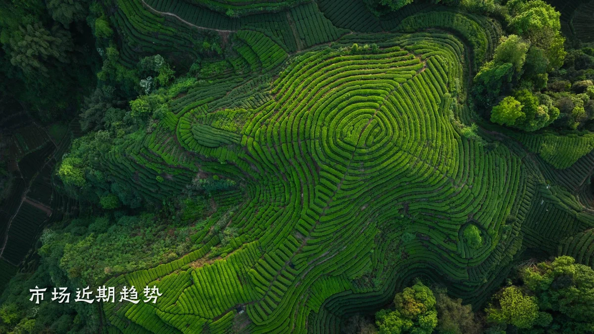市场近期趋势