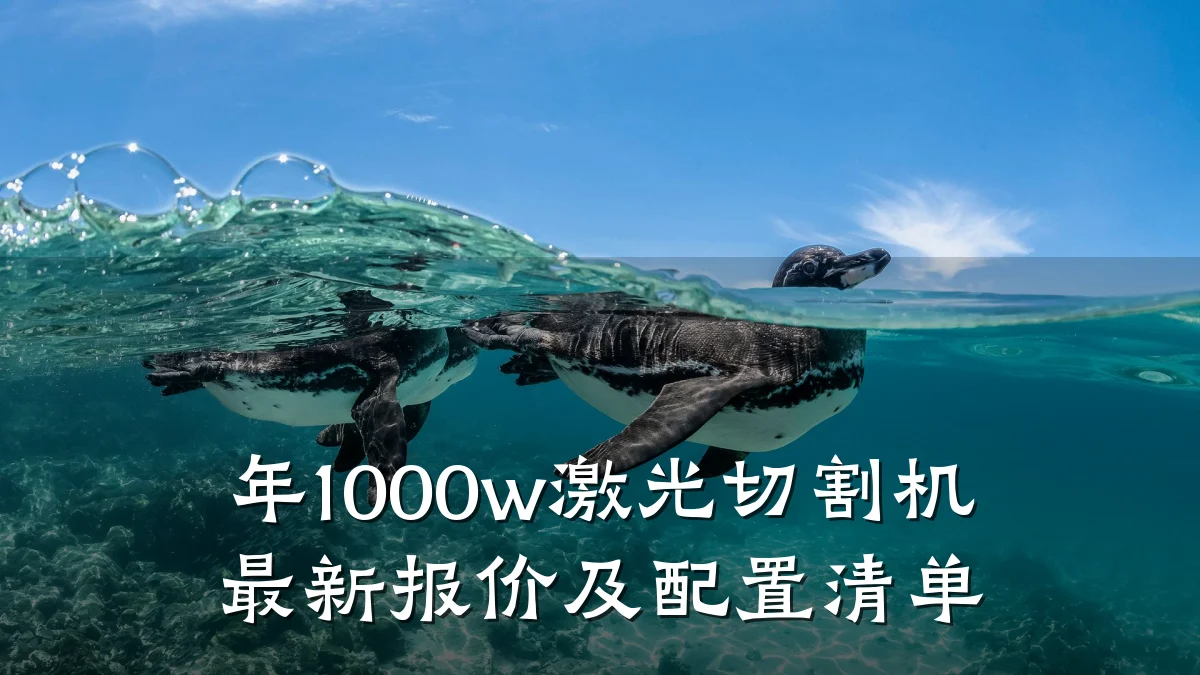 年1000w激光切割机最新报价及配置清单