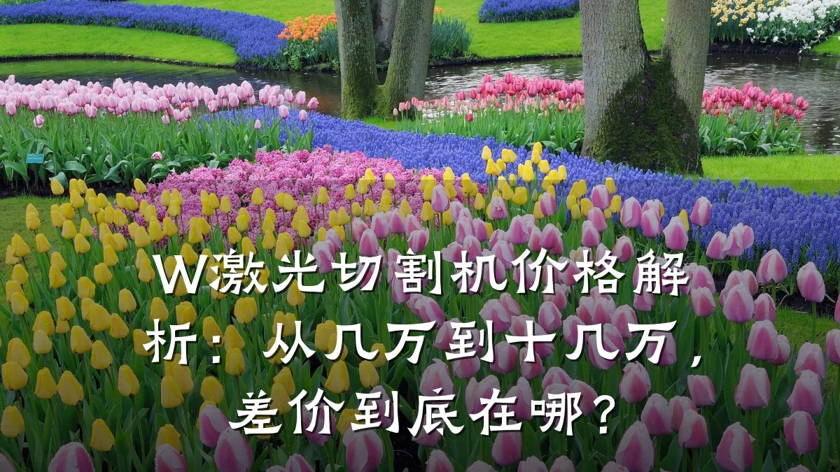 W激光切割机价格解析:从几万到十几万,差价到底在哪?