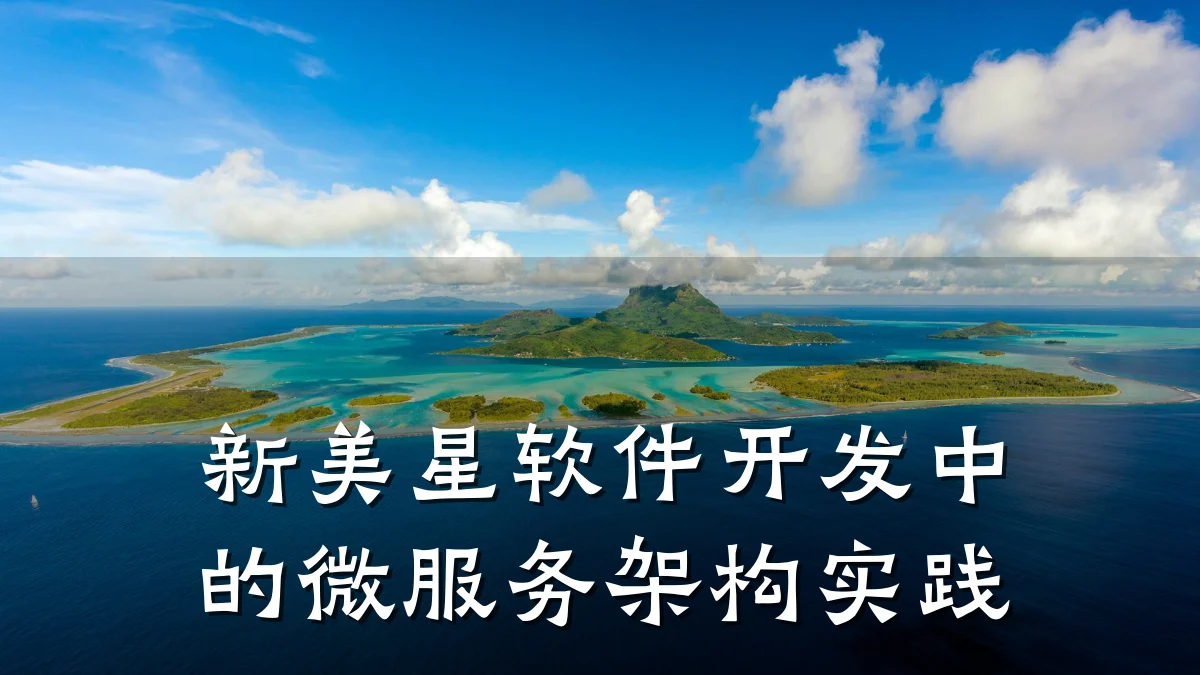 新美星软件开发中的微服务架构实践